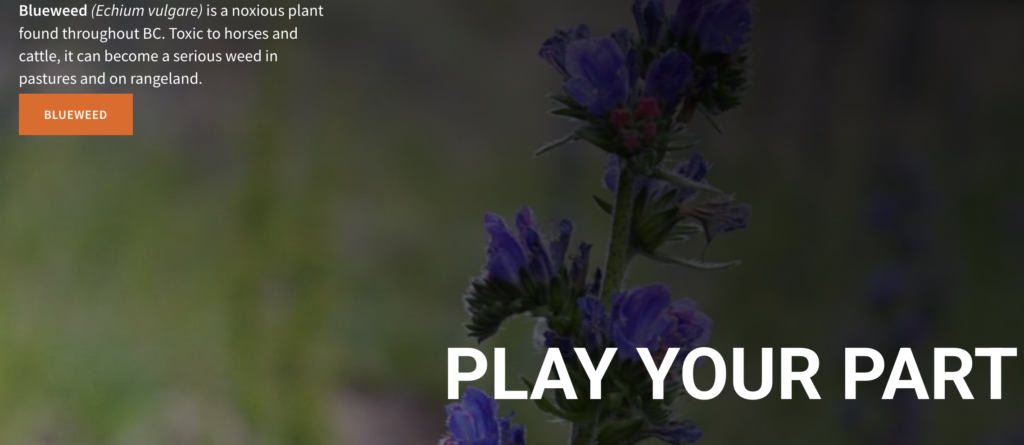 Invasive Species Management: Play Your Part